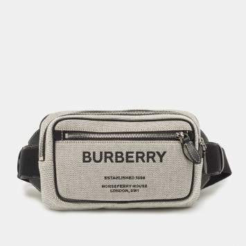 Pre Owned Burberry Grey Canvas and Leather West Belt Bag