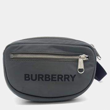 Burberry Grey Fabric and Nylon Canon Belt Bag