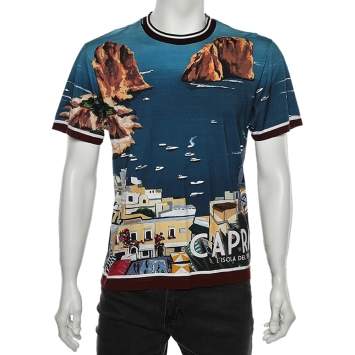 Pre Owned Dolce & Gabbana Multicolor Capri Printed Cotton Crewneck T-Shirt S