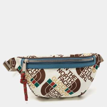 Gucci x The North Face Multicolor Print Nylon Belt Bag