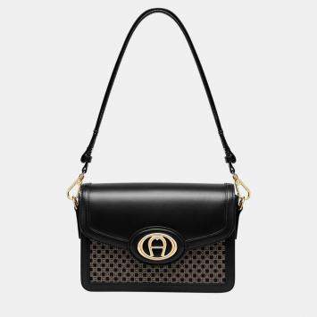 Pre Owned Aigner Dadino Brown shiny light gold Metal Luisa Crossbody bag Dadino Brown