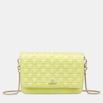 Pre Owned Aigner Fresh green shiny light gold Metal Fashion Wallet on Chain Fresh Green