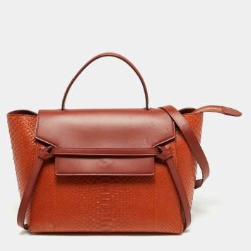Pre Owned Celine Cinnamon Brown Leather and Python Micro Belt Bag