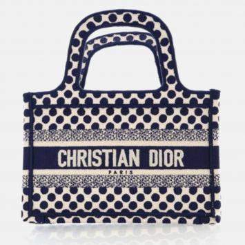 Dior Mini Canvas Book Tote