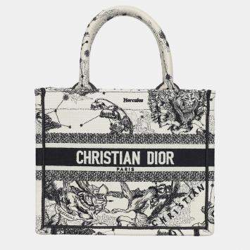 Pre Owned Christian Dior Book Tote Bag