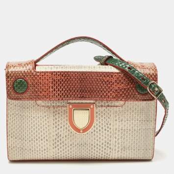 مملوكة مسبقًا Dior Multicolor Watersnake Leather Mini Diorever Top Handle Bag