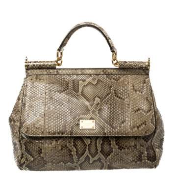 Pre Owned Dolce & Gabbana Brown/Pale Green Python Large Miss Sicily Top Handle Bag