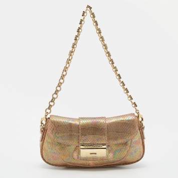 Pre Owned Dolce & Gabbana Multicolor Holographic Snakeskin Flap Chain Clutch