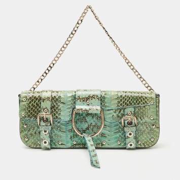 Pre Owned Dolce & Gabbana Green/Blue Python Chain Clutch