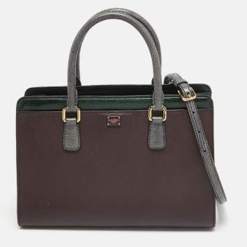 Pre Owned Dolce & Gabbana Tricolor Lizard Embossed Leather Zip Tote