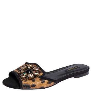مملوكة مسبقًا Dolce & Gabbana Leopard Print Coated Canvas Crystal Embellished Bianca Flats Size 37