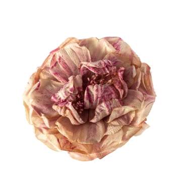 Pre Owned Gucci Dusty Pink Silk Flower Brooch
