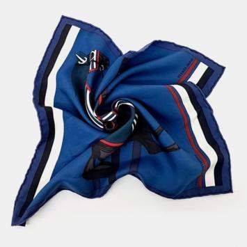 مملوكة مسبقًا Hermes petite scarf