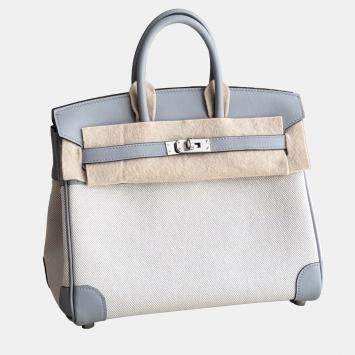 Hermes Birkin 25 Canvas & Puppete Grey Swift