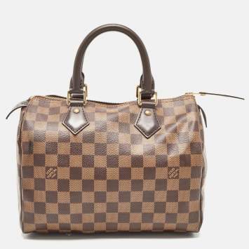 Pre Owned Louis Vuitton Damier Ebene Canvas Speedy 25 Bag
