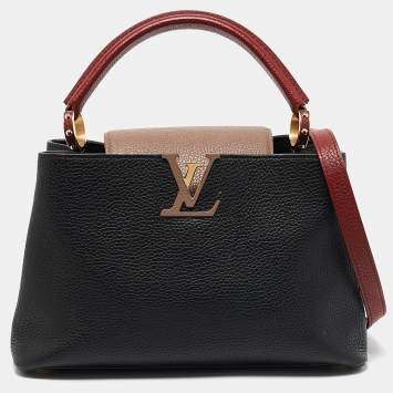 Pre Owned Louis Vuitton Multicolor Taurillon Leather Capucines PM Bag
