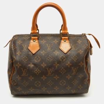 Pre Owned Louis Vuitton Monogram Canvas Speedy 25 Bag