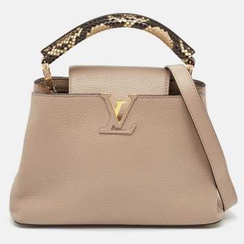 Pre Owned Louis Vuitton Galet Grey Python and Leather Capucines BB Bag