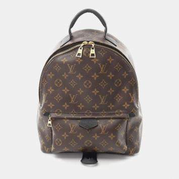 Pre Owned Louis Vuitton Brown Coated Canvas Leather Monogram Palm Springs Backpack 