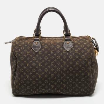Pre Owned Louis Vuitton Fusain Monogram Mini Lin Canvas Speedy 30 Bag