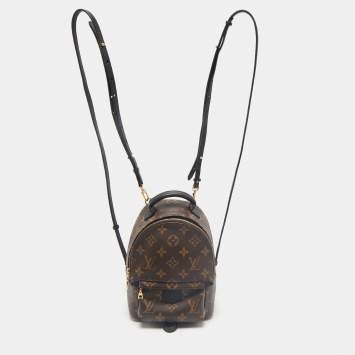 Louis Vuitton Monogram Canvas Mini Palm Springs Backpack
