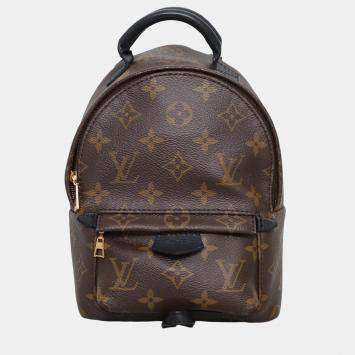 Louis Vuitton Brown Monogram Palm Spring Mini  Backpack