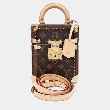 Louis Vuitton Brown Coated Canvas Camera Box bag