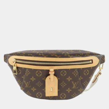 Louis Vuitton Monogram High Rise Handbag