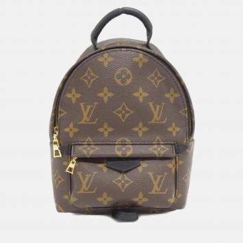 Louis Vuitton Monogram Palm Springs Backpack Mini