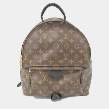 Louis Vuitton Monogram Palm Springs Backpack Mm