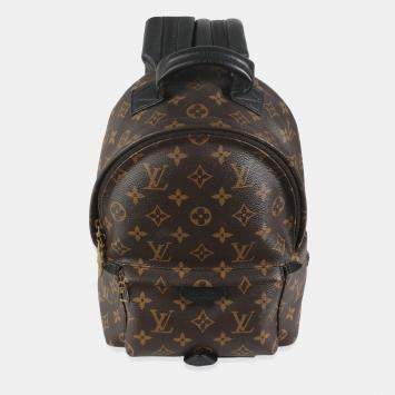 Louis Vuitton Monogram Canvas Palm Springs PM