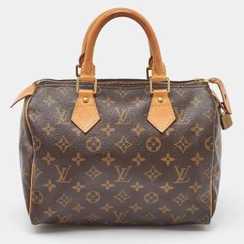 Louis Vuitton Monogram Canvas Speedy 25 Bag