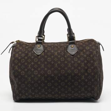 Pre Owned Louis Vuitton Fusain Monogram Mini Lin Canvas Speedy 30 Bag
