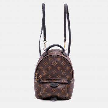 Louis Vuitton Brown Monogram Mini Palm Springs