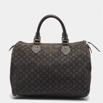 Louis Vuitton Fusain Monogram Mini Lin Fabric Speedy 30 Bag