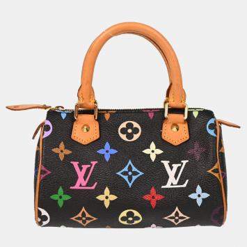 Pre Owned Louis Vuitton Multicolor Mini Speedy Handbag