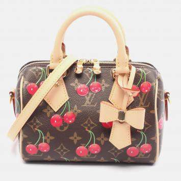 Pre Owned Louis Vuitton X Takashi Murakami Speedy 20 Shoulder Handbag Monogram
