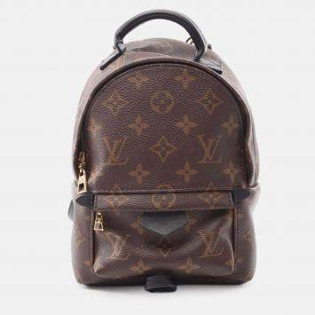 Pre Owned Louis Vuitton Brown Monogram Mini Palm Springs