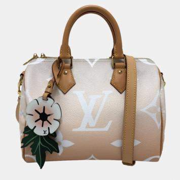 Pre Owned Louis Vuitton Monogram Giant Gradient Speedy Bandouliere 25 2-Way Mini Boston BagCanvas Blue Pink