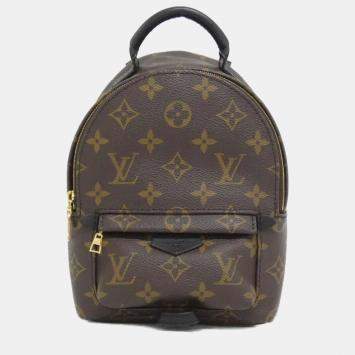 Pre Owned Louis Vuitton Monogram Palm Springs Backpack Mini