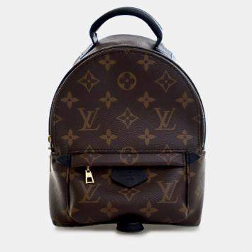 Pre Owned Louis Vuitton Brown Monogram Mini Palm Springs