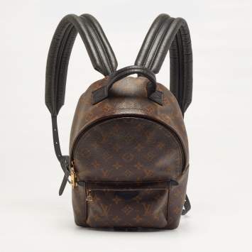 مملوكة مسبقًا حقيبة ظهر لوي فيتون "بالم سبرينغس بي إم" كانفاس مونوقرامي