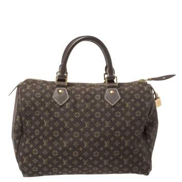 Pre Owned Louis Vuitton Fusain Monogram Canvas Mini Lin Speedy 30 Bag