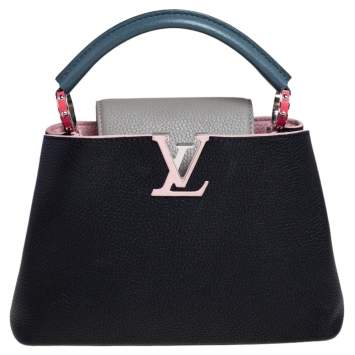 Pre Owned Louis Vuitton Multicolor Taurillon Leather Capucines BB Bag
