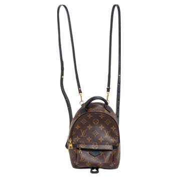 Pre Owned Louis Vuitton Monogram Canvas Mini Palm Springs Backpack