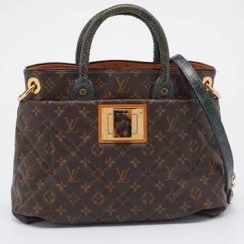 Pre Owned Louis Vuitton Monogram Canvas Limited Edition Etoile Exotique MM Bag