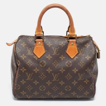 Pre Owned Louis Vuitton Monogram Canvas and Leather Speedy 25 Bag