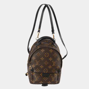 Pre Owned Louis Vuitton Monogram Canvas Palm Springs Mini Backpack