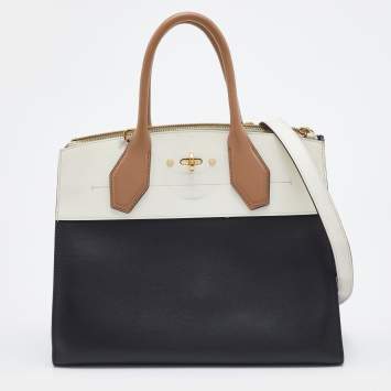 Pre Owned Louis Vuitton Tri-Color Leather City Steamer MM Bag