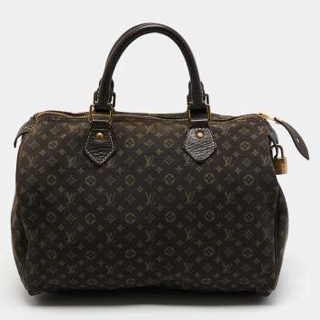 Pre Owned Louis Vuitton Fusain Monogram Mini Lin Canvas Speedy 30 Bag